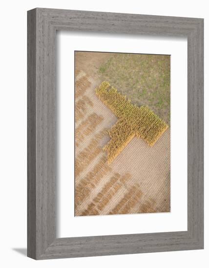 Aerial Shot of Field at Bagan, Myanmar-Harry Marx-Framed Photographic Print