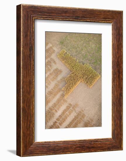 Aerial Shot of Field at Bagan, Myanmar-Harry Marx-Framed Photographic Print