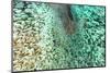 Aerial Summer - Between Two Coral Reefs-Philippe HUGONNARD-Mounted Photographic Print