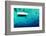 Aerial Summer - Clear Water-Philippe HUGONNARD-Framed Photographic Print