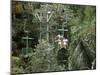 Aerial Tramway on Forest Canopy, Soberania Forest National Park, Gamboa, Panama, Central America-Sergio Pitamitz-Mounted Photographic Print