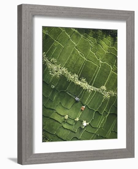 Aerial View - Fields-Joseph Eta-Framed Giclee Print