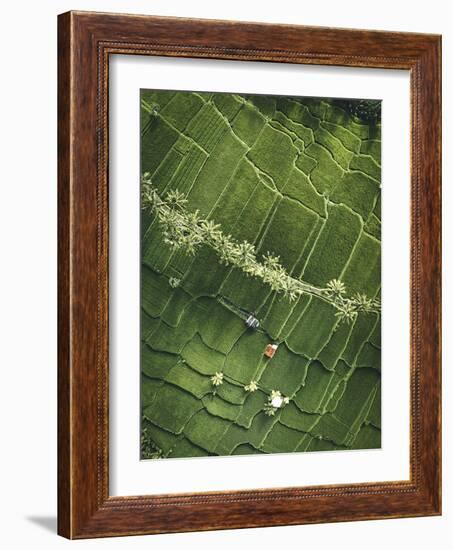 Aerial View - Fields-Joseph Eta-Framed Giclee Print