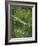 Aerial View - Fields-Joseph Eta-Framed Giclee Print