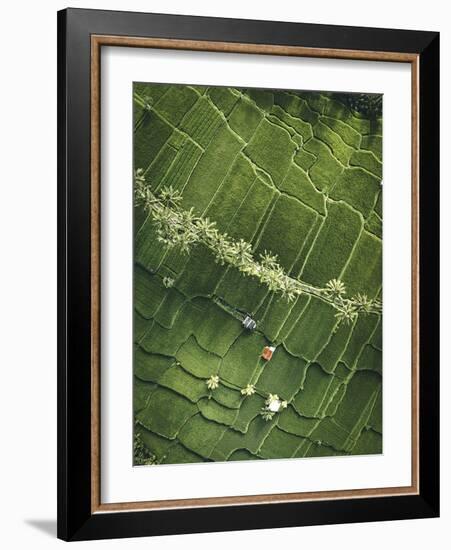 Aerial View - Fields-Joseph Eta-Framed Giclee Print