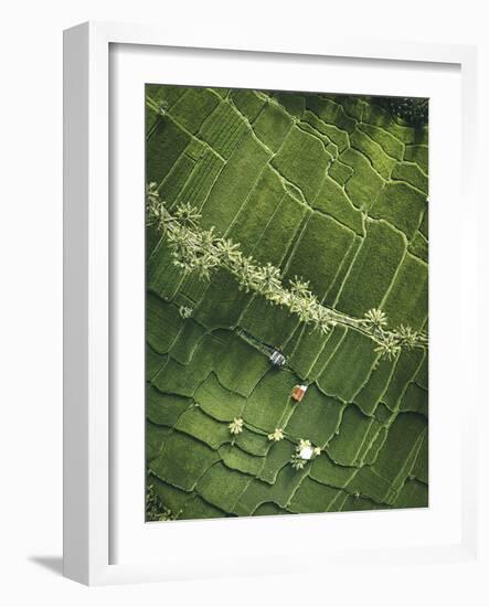 Aerial View - Fields-Joseph Eta-Framed Giclee Print