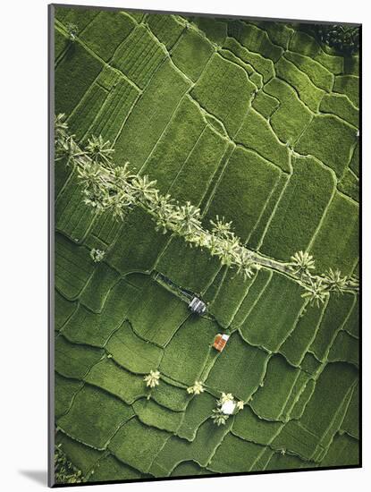 Aerial View - Fields-Joseph Eta-Mounted Giclee Print