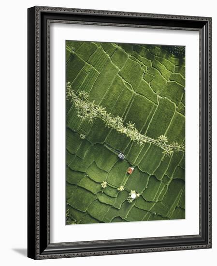 Aerial View - Fields-Joseph Eta-Framed Giclee Print