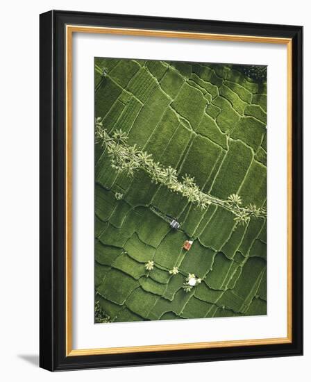 Aerial View - Fields-Joseph Eta-Framed Giclee Print