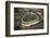 Aerial view of a baseball stadium, Yankee Stadium, New York City, New York State, USA-null-Framed Photographic Print