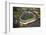 Aerial view of a baseball stadium, Yankee Stadium, New York City, New York State, USA-null-Framed Photographic Print