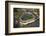 Aerial view of a baseball stadium, Yankee Stadium, New York City, New York State, USA-null-Framed Photographic Print