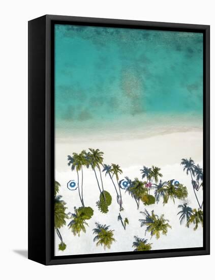 Aerial view of a beach in Maldives, Indian Ocean, Asia-Sakis Papadopoulos-Framed Premier Image Canvas