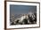 Aerial view of a city, Haifa, North Coast, Israel-null-Framed Photographic Print