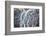 Aerial view of a glacier river, South Iceland-Mateusz Piesiak-Framed Photographic Print