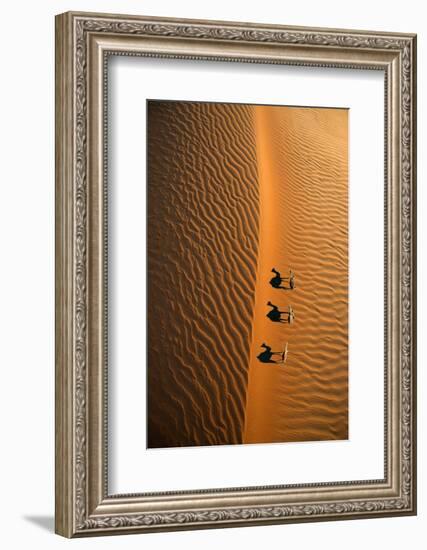 Aerial view of a line of camels casting shadows while walking in the Arabian Desert near the city o-Miva Stock-Framed Photographic Print