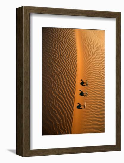 Aerial view of a line of camels casting shadows while walking in the Arabian Desert near the city o-Miva Stock-Framed Photographic Print