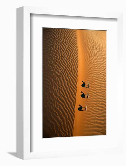 Aerial view of a line of camels casting shadows while walking in the Arabian Desert near the city o-Miva Stock-Framed Photographic Print