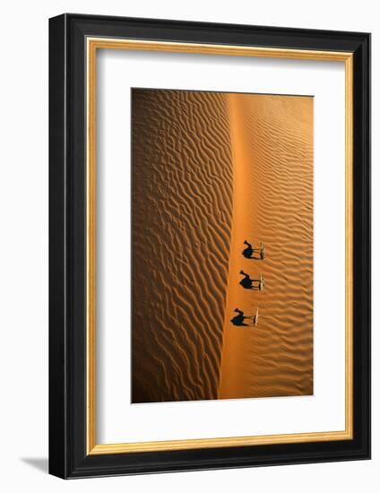 Aerial view of a line of camels casting shadows while walking in the Arabian Desert near the city o-Miva Stock-Framed Photographic Print