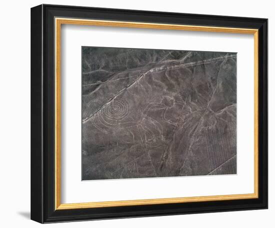 Aerial View of a Monkey Figure, Nazca Lines (Photography, 1983)-Prehistoric Prehistoric-Framed Giclee Print