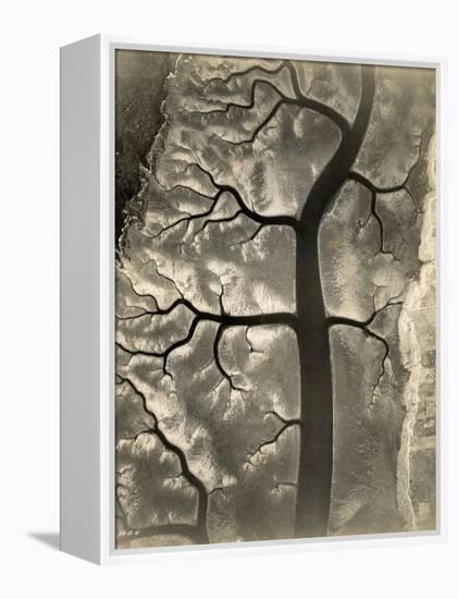 Aerial View of a Mud Flat at Low Tide, Canada, 15th April 1944-null-Framed Premier Image Canvas