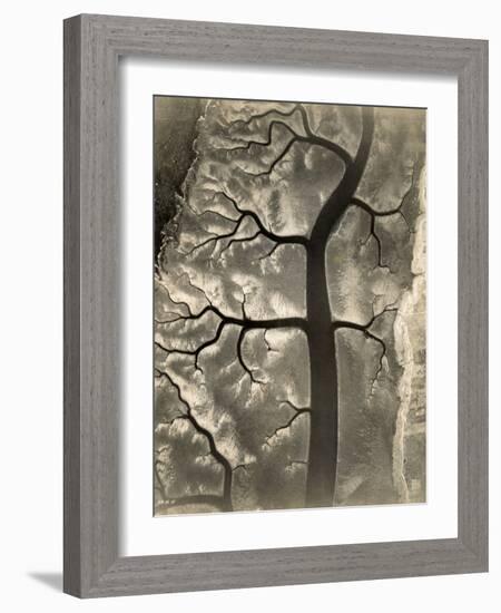 Aerial View of a Mud Flat at Low Tide, Canada, 15th April 1944-null-Framed Photographic Print