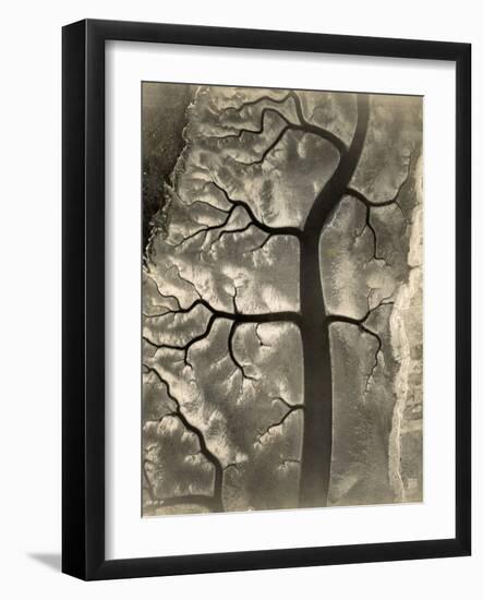 Aerial View of a Mud Flat at Low Tide, Canada, 15th April 1944-null-Framed Photographic Print