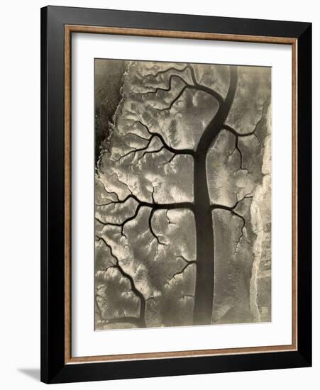 Aerial View of a Mud Flat at Low Tide, Canada, 15th April 1944-null-Framed Photographic Print