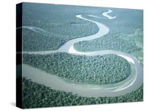 Amazon River Canvas Art Prints Paintings Posters Wall Art Art Com Amazon River Canvas Art Prints Paintings Posters Wall Art Art Com