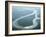 Aerial View of Amazon River and Jungle, Brazil-null-Framed Photographic Print