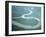 Aerial View of Amazon River and Jungle, Brazil-null-Framed Photographic Print