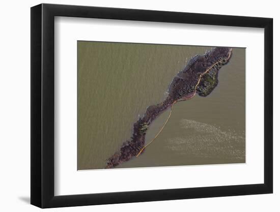 Aerial View of an Oil Covered Island and Displaced Oil Containment Boom-Gerrit Vyn-Framed Photographic Print