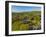 Aerial view of Baslow village, Peak District National Park, Derbyshire, England, United Kingdom-Frank Fell-Framed Photographic Print