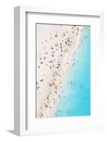 Aerial view of beach in summer with people. Zakynthos, Greek Islands, Greece-Matteo Colombo-Framed Photographic Print