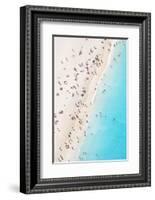 Aerial view of beach in summer with people. Zakynthos, Greek Islands, Greece-Matteo Colombo-Framed Photographic Print