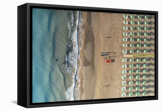 Aerial view of beach umbrellas and sunbeds in tidy rows during summer, Vieste-Roberto Moiola-Framed Premier Image Canvas