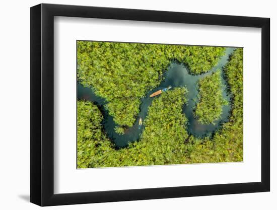 Aerial view of boat crossing through the deep jungle, Yanomami tribe, southern Venezuela-Michael Runkel-Framed Photographic Print