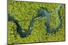 Aerial view of boat crossing through the deep jungle, Yanomami tribe, southern Venezuela-Michael Runkel-Mounted Photographic Print