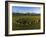 Aerial view of Castlerigg Stone Circle and Catbells, Lake District National Park-Ian Egner-Framed Photographic Print