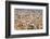 Aerial view of cityscape, Dhaka, Bangladesh-Keren Su-Framed Photographic Print