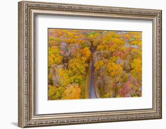 Aerial view of colorful trees in forest, Stephen A. Forbes State Park, Marion Co., Illinois, USA-Panoramic Images-Framed Photographic Print