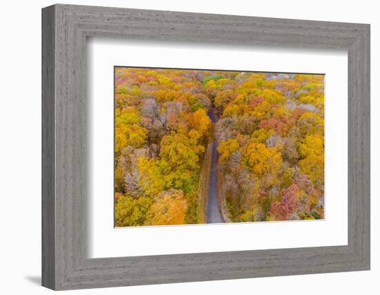 Aerial view of colorful trees in forest, Stephen A. Forbes State Park, Marion Co., Illinois, USA-Panoramic Images-Framed Photographic Print