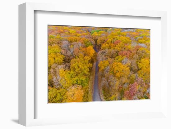 Aerial view of colorful trees in forest, Stephen A. Forbes State Park, Marion Co., Illinois, USA-Panoramic Images-Framed Photographic Print