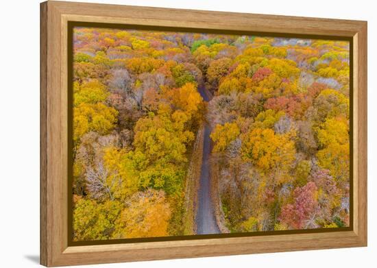 Aerial view of colorful trees in forest, Stephen A. Forbes State Park, Marion Co., Illinois, USA-Panoramic Images-Framed Premier Image Canvas