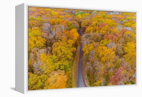 Aerial view of colorful trees in forest, Stephen A. Forbes State Park, Marion Co., Illinois, USA-Panoramic Images-Framed Premier Image Canvas