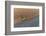 Aerial view of combine-harvester in field, Marion Co,. Illinois, USA-Panoramic Images-Framed Photographic Print