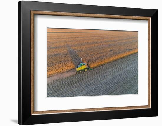 Aerial view of combine-harvester in field, Marion Co,. Illinois, USA-Panoramic Images-Framed Photographic Print