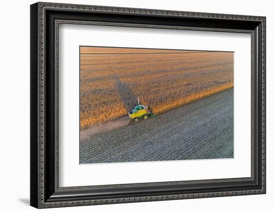 Aerial view of combine-harvester in field, Marion Co,. Illinois, USA-Panoramic Images-Framed Photographic Print