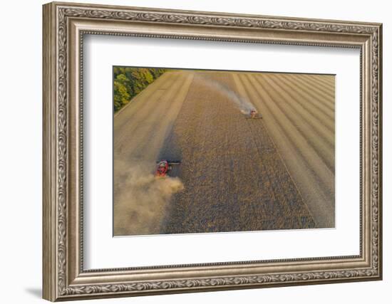 Aerial view of combine-harvesters harvesting in field, Marion Co,. Illinois, USA-Panoramic Images-Framed Photographic Print