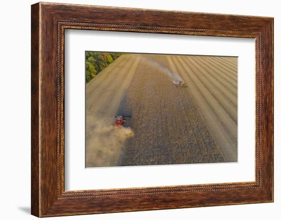 Aerial view of combine-harvesters harvesting in field, Marion Co,. Illinois, USA-Panoramic Images-Framed Photographic Print